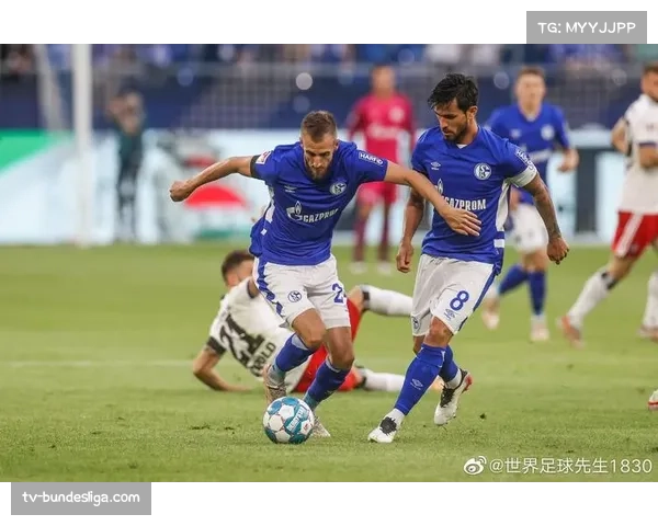 官方确认：沙尔克04主力前锋因肌肉拉伤，将缺席四月剩余赛事