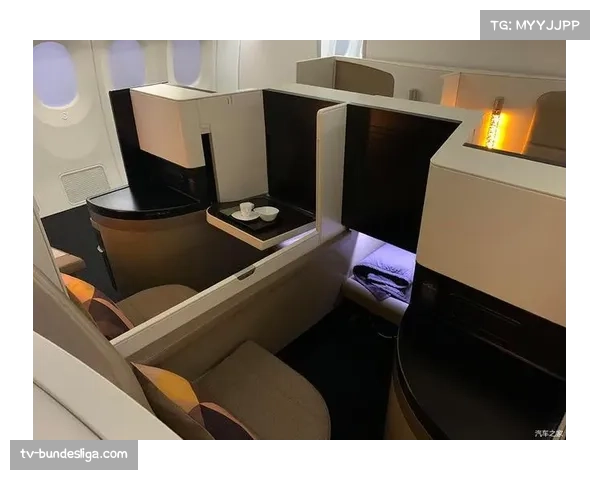 意甲联盟与中东航空签署新赛季袖标赞助协议